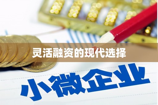 君山灵活融资的现代选择