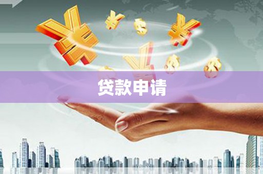 君山贷款申请