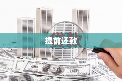 君山提前还款