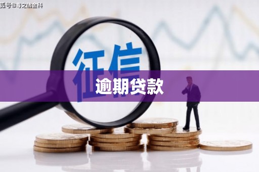 君山逾期贷款