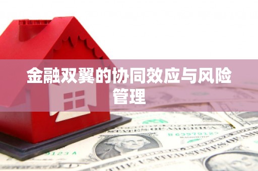 君山金融双翼的协同效应与风险管理