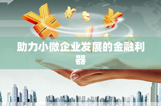 君山助力小微企业发展的金融利器