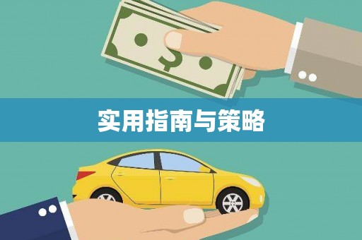君山实用指南与策略