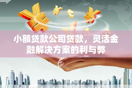 君山小额贷款公司贷款，灵活金融解决方案的利与弊