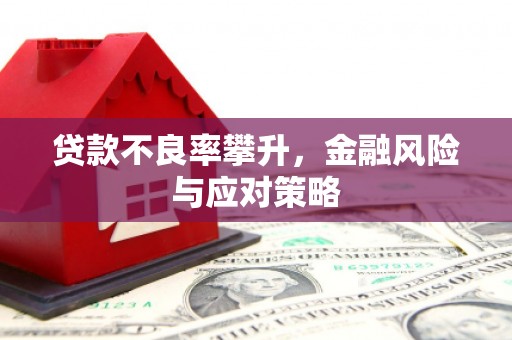 君山贷款不良率攀升，金融风险与应对策略